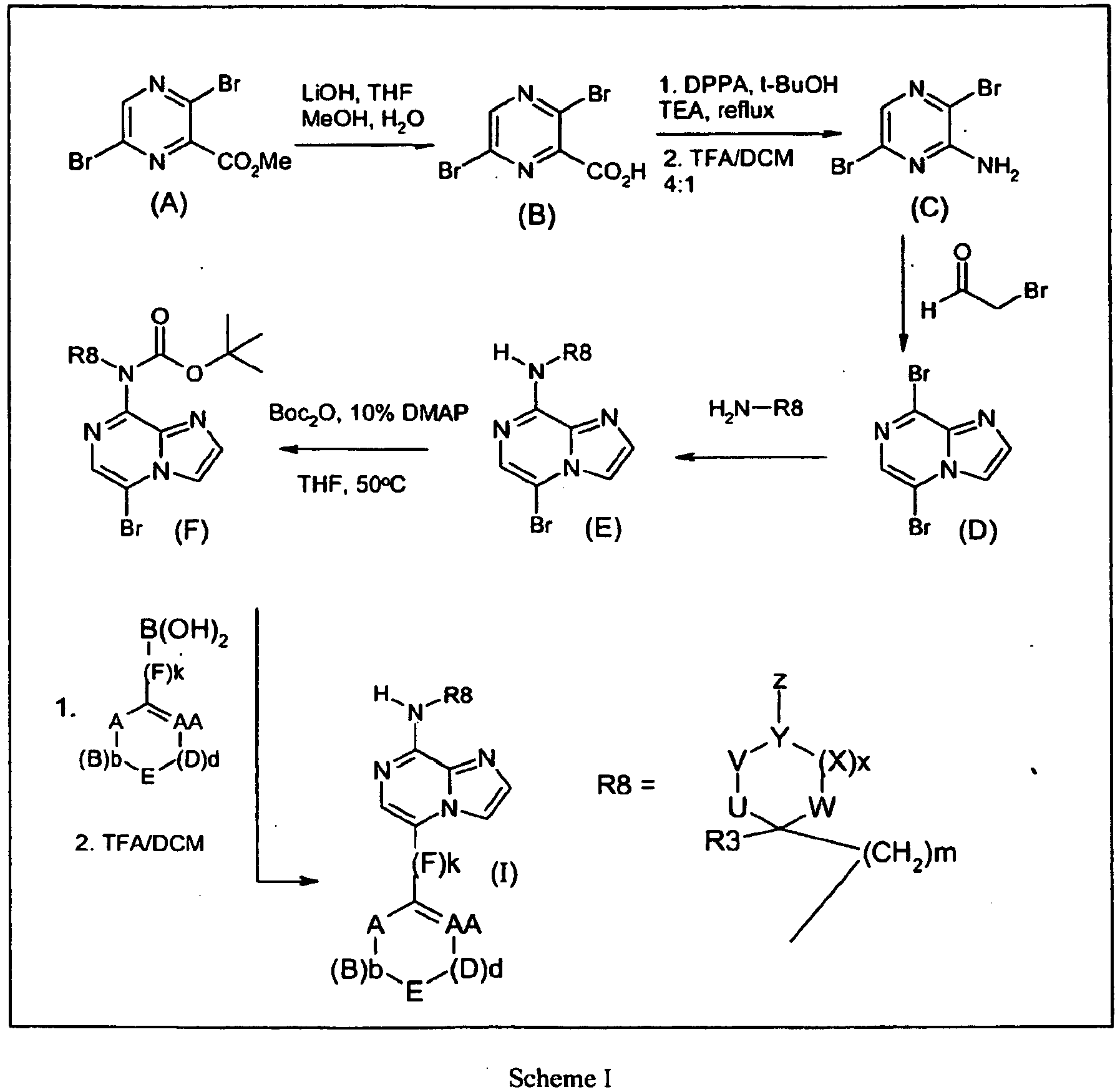 IMIDAZOLOPYRAZINE COMPOUNDS USEFUL FOR THE TREATMENT OF DEGENERATIVE AND  INFLAMMATORY DISEASES - Patent 2027124